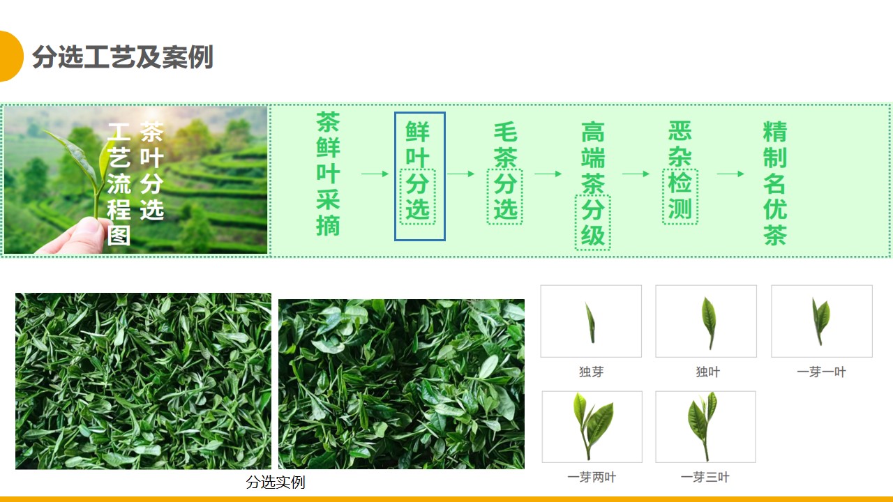 http://maifakai.cn/Upload/ueditor/1681280335278777.jpg