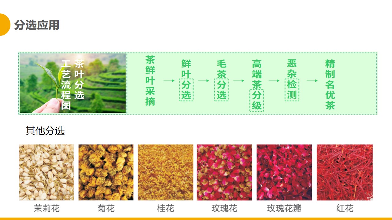 http://maifakai.cn/Upload/ueditor/1681365602994585.jpg