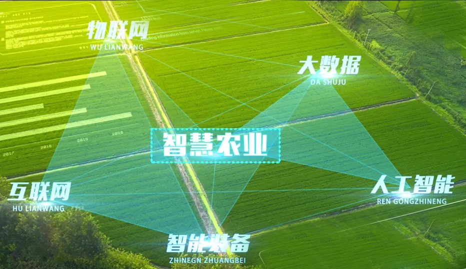 http://maifakai.cn/Upload/ueditor/1743472775737739.jpg