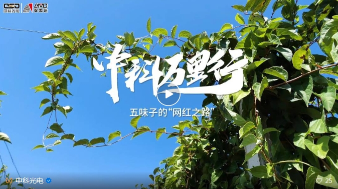 http://maifakai.cn/Upload/ueditor/1743473521157045.png