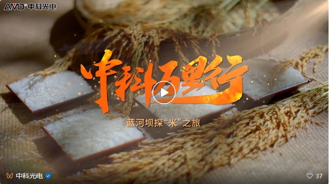 http://maifakai.cn/Upload/ueditor/1743473561850796.png