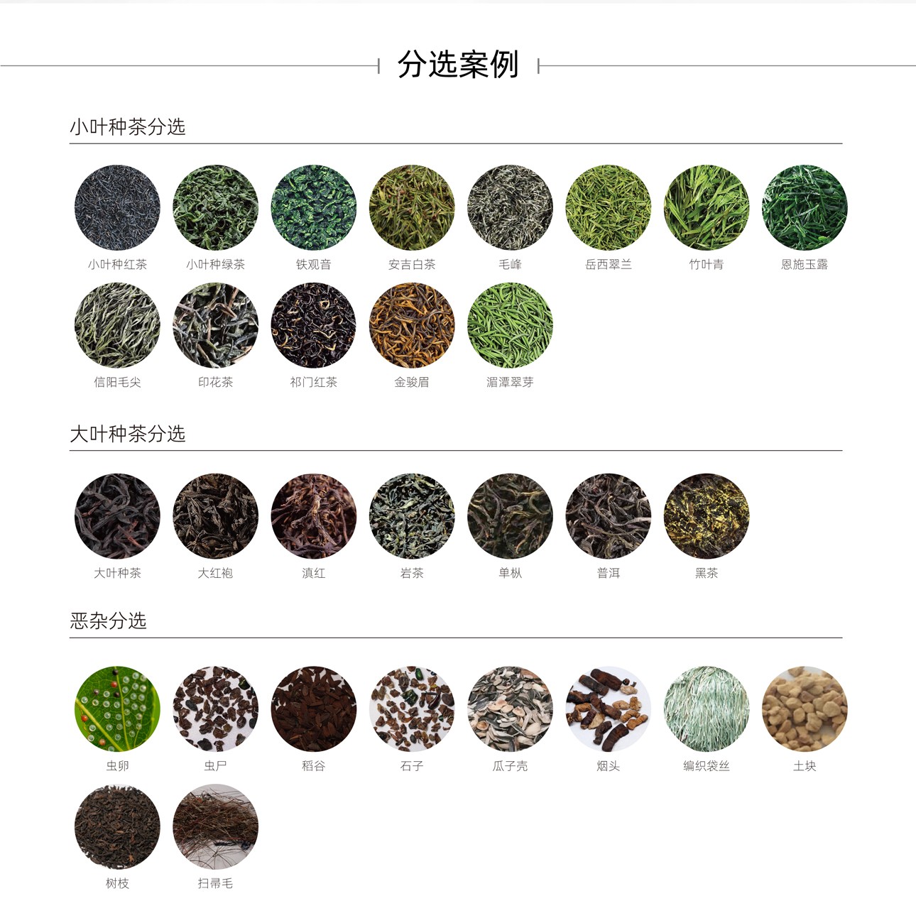 http://maifakai.cn/Upload/ueditor/1743476196283921.jpg