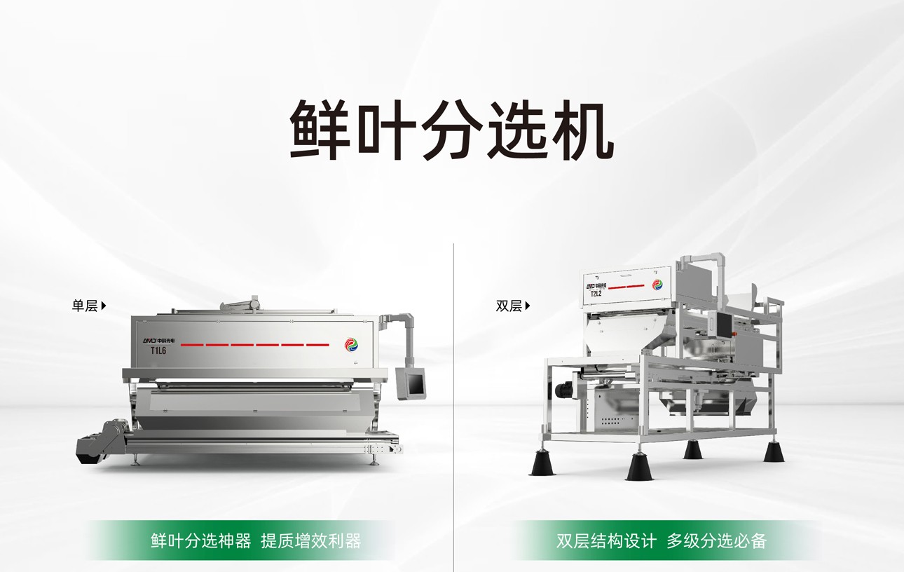 http://maifakai.cn/Upload/ueditor/1747984764254801.jpg