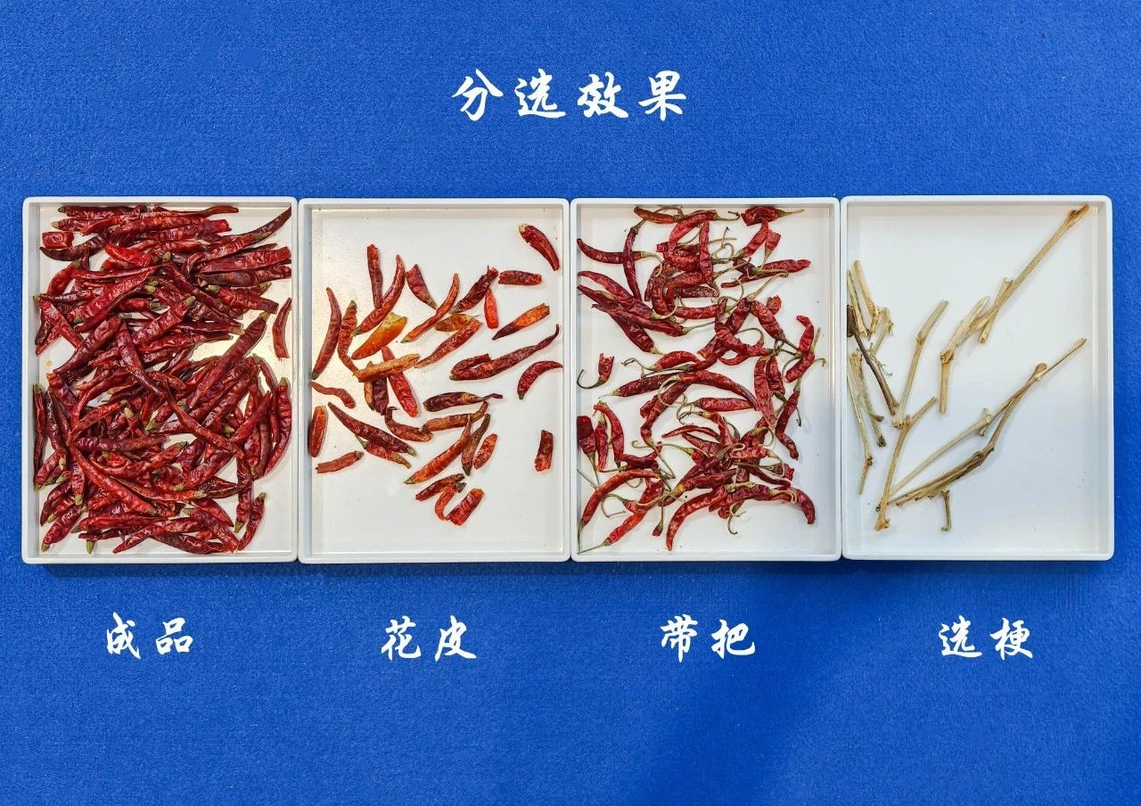 http://maifakai.cn/Upload/ueditor/1748584420848915.jpg