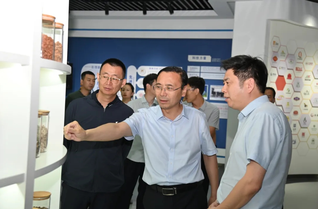http://maifakai.cn/Upload/ueditor/1751859900409699.png
